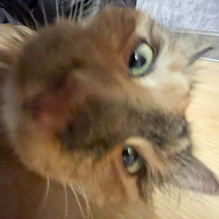 Знакомится с парнями