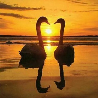 Знакомства для подростков