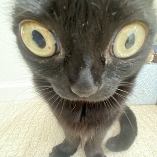 😎🇺🇦Новые Одногрупники🇺🇦😏