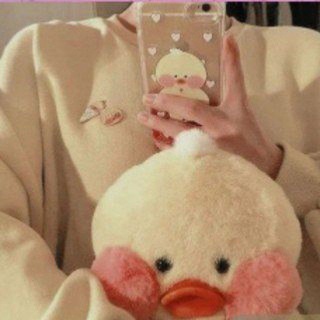 Знакомство с утями