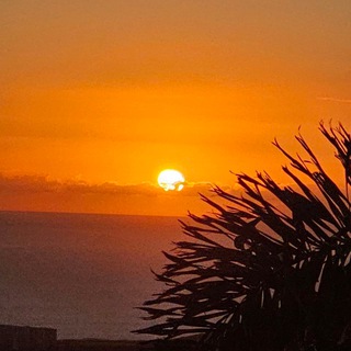 ЗНАКОМСТВА ❤️ Канарские острова ☀️ Тенерифе ☀️ Гран Канария ☀️ Фуэртовентура