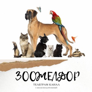 ЗооЖелдор (Железнодорожный/Балашиха)